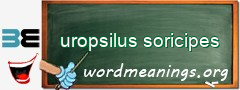 WordMeaning blackboard for uropsilus soricipes
